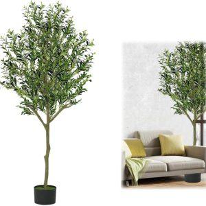 ÁRBOL OLIVE A