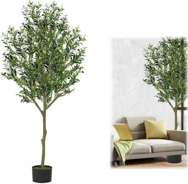 ÁRBOL OLIVE A