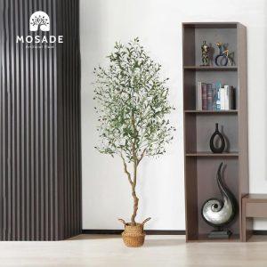 ÁRBOL OLIVE B