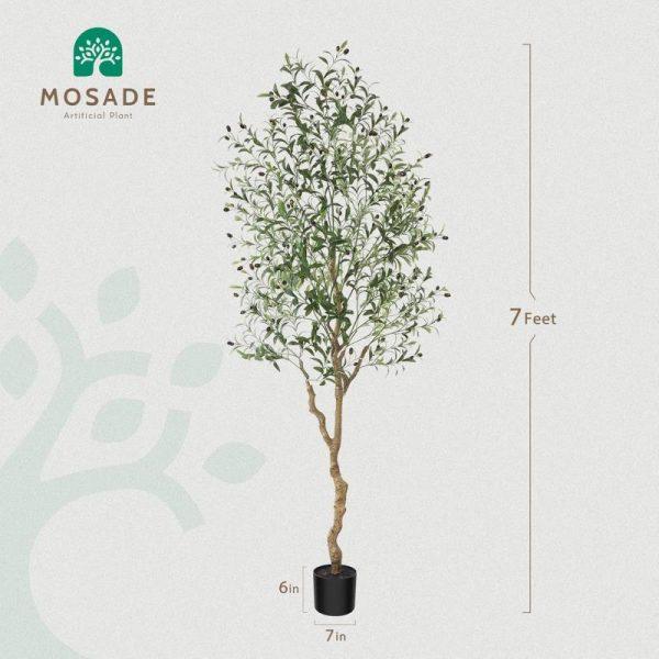 ÁRBOL OLIVE B - Imagen 2