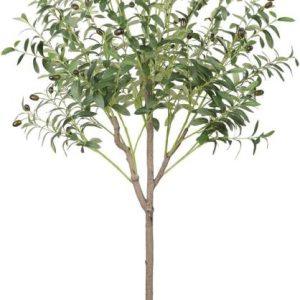 ÁRBOL OLIVE C