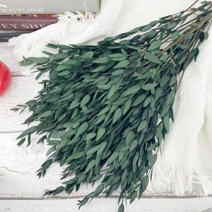 RAMO GREEN EUCALIPT