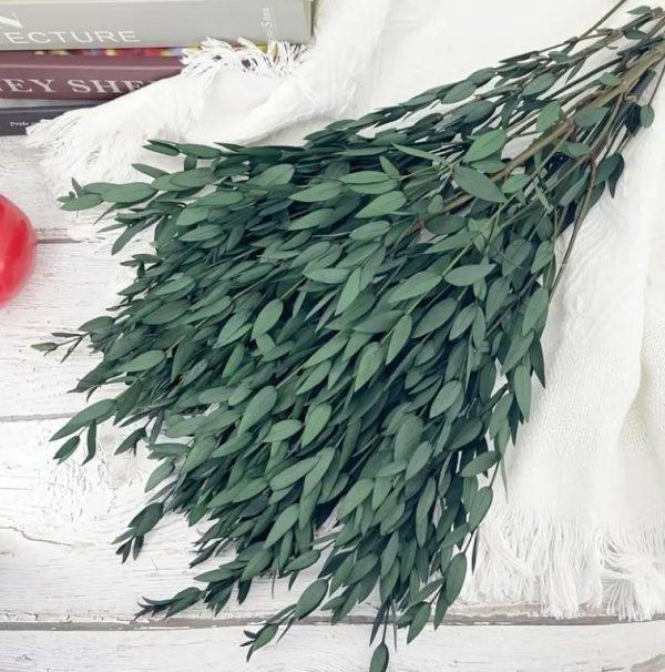 RAMO GREEN EUCALIPT
