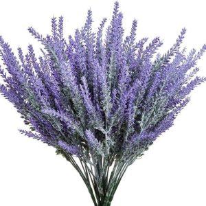 RAMO LAVENDER