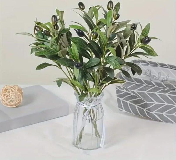 RAMO OLIVE